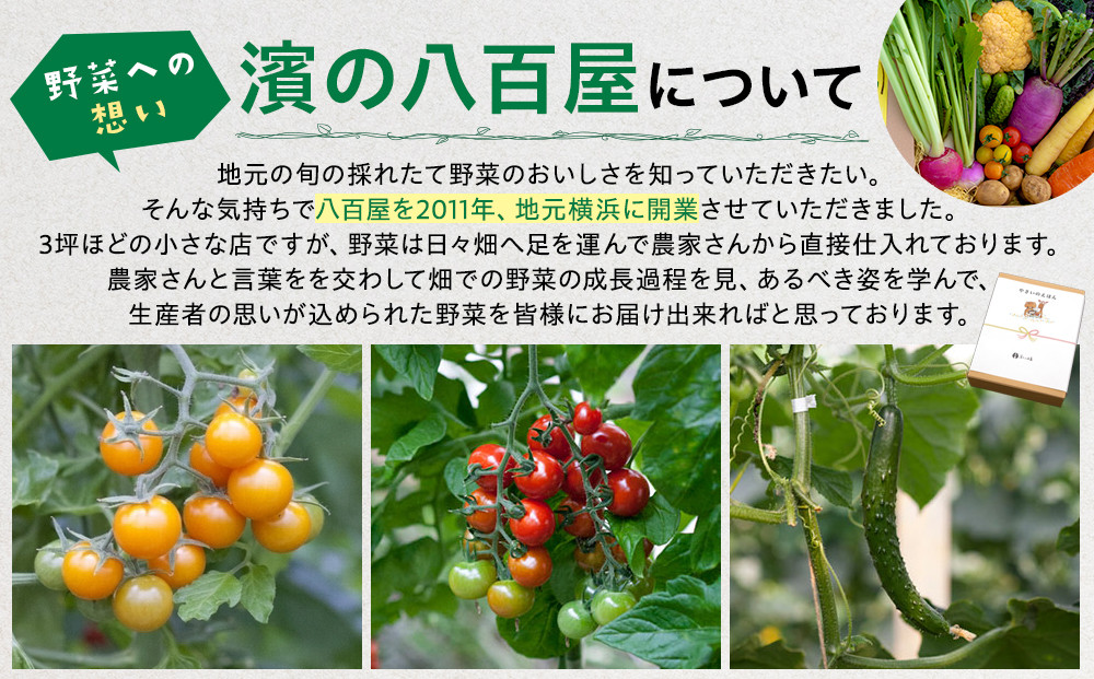 【濱の八百屋】やさいのえほんセット（8～12種類）