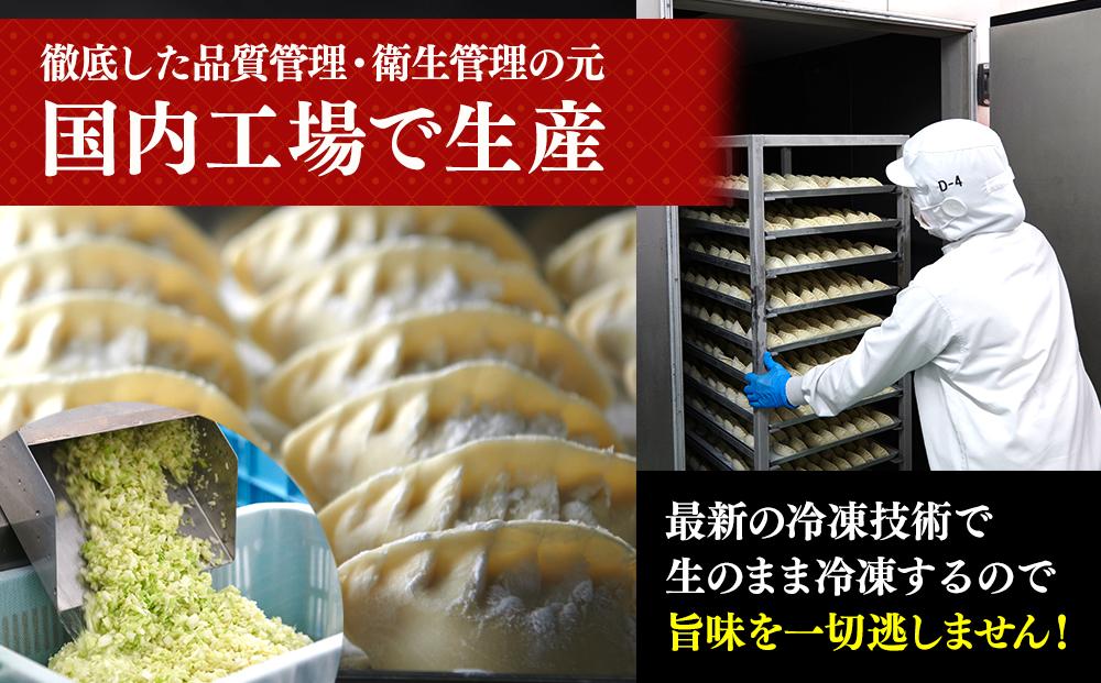 横浜大宝餃子 もちもち国産ジャンボ大宝餃子30個＆もちもち水餃子40個セット｜国産食材使用 冷凍餃子 水餃子 ギョーザ 焼餃子 中華総菜 お取り寄せ ギフト｜人気 おすすめ 送料無料｜神奈川県 横浜市