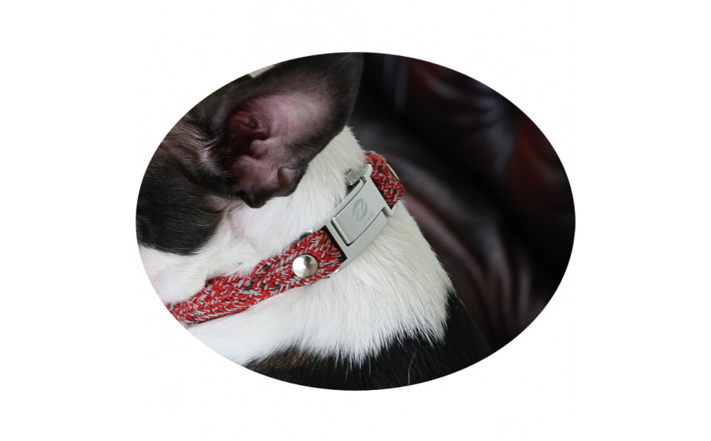 縲心ize27cm縲代じ繧ェ繝ゥ繝ォ繝サ繝ェ繧ォ繝舌Μ繝シホア繝舌Φ繝 RD/SIス懈ィェ豬懷ク 鬮俶ゥ溯ス繝舌Φ繝 繝壹ャ繝育畑繧「繧ッ繧サ繧オ繝ェ繝シ