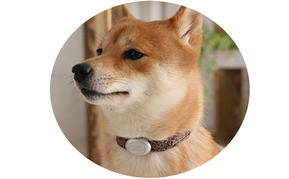 ãSize29cmãã¶ãªã©ã«ã»ãªã«ããªãŒÎ±ãã³ã BR/SIïœæšªæµåž é«æ©èœãã³ã ãããçšã¢ã¯ã»ãµãªãŒ