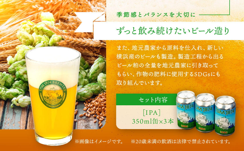 TDM 1874 Brewery クラフトビール　IPA（350ml×3本）【お酒・地ビール・酒】  数々の審査会で金賞受賞！