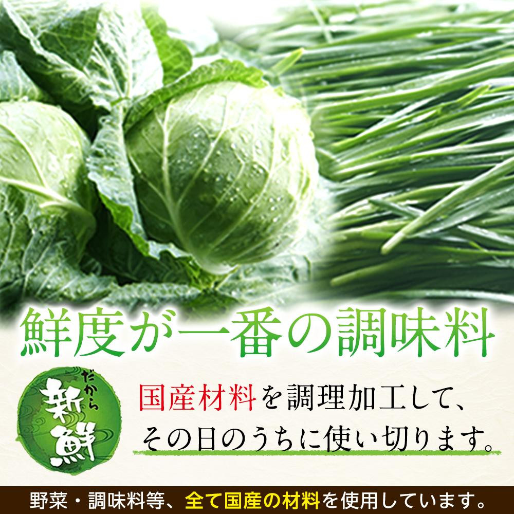 全て国産食材、銘柄豚使用！肉汁あふれる！【横浜大宝餃子】もちもち国産ジャンボ大宝餃子120個（30個×4）老舗餃子メーカー 横浜中華 焼餃子 冷凍餃子 ギョーザ ぎょうざ 大きい 中華 おかず 惣菜 ギフト プレゼント