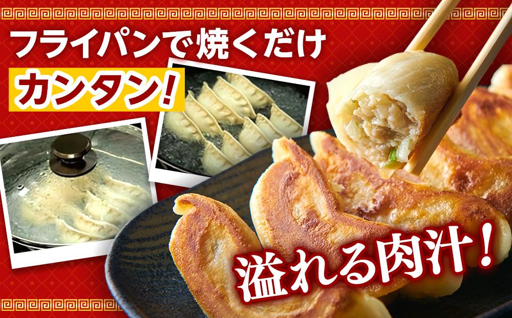 横浜大宝餃子 もちもち国産ジャンボ大宝餃子30個＆もちもち水餃子40個セット｜国産食材使用 冷凍餃子 水餃子 ギョーザ 焼餃子 中華総菜 お取り寄せ ギフト｜人気 おすすめ 送料無料｜神奈川県 横浜市