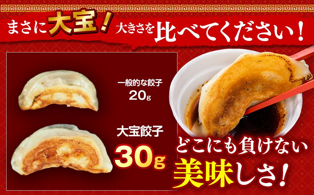 横浜大宝餃子 もちもち肉汁 ジャンボ餃子 60個（30×2）｜国産食材使用 冷凍餃子 ギョーザ 焼き餃子 お取り寄せ 中華総菜 中華 ギフト｜人気 おすすめ 送料無料｜神奈川県 横浜市