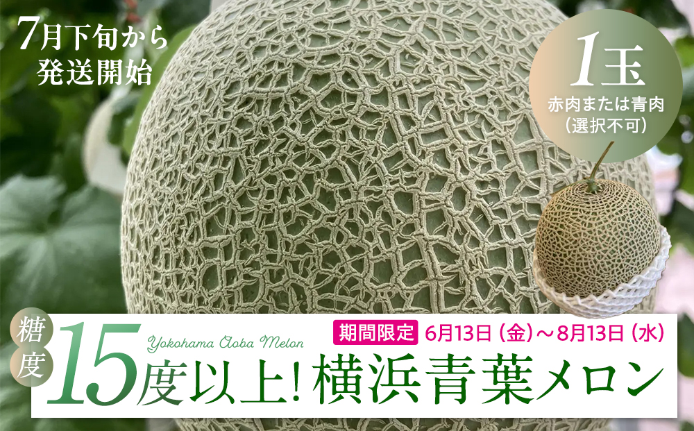 糖度１５度以上！横浜青葉メロン１玉（赤肉または青肉）（7月下旬から発送開始）