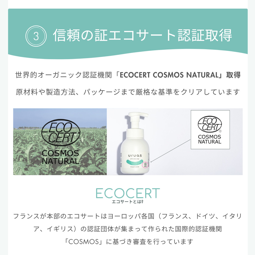 uruas all in one soap縲植SR0001縲