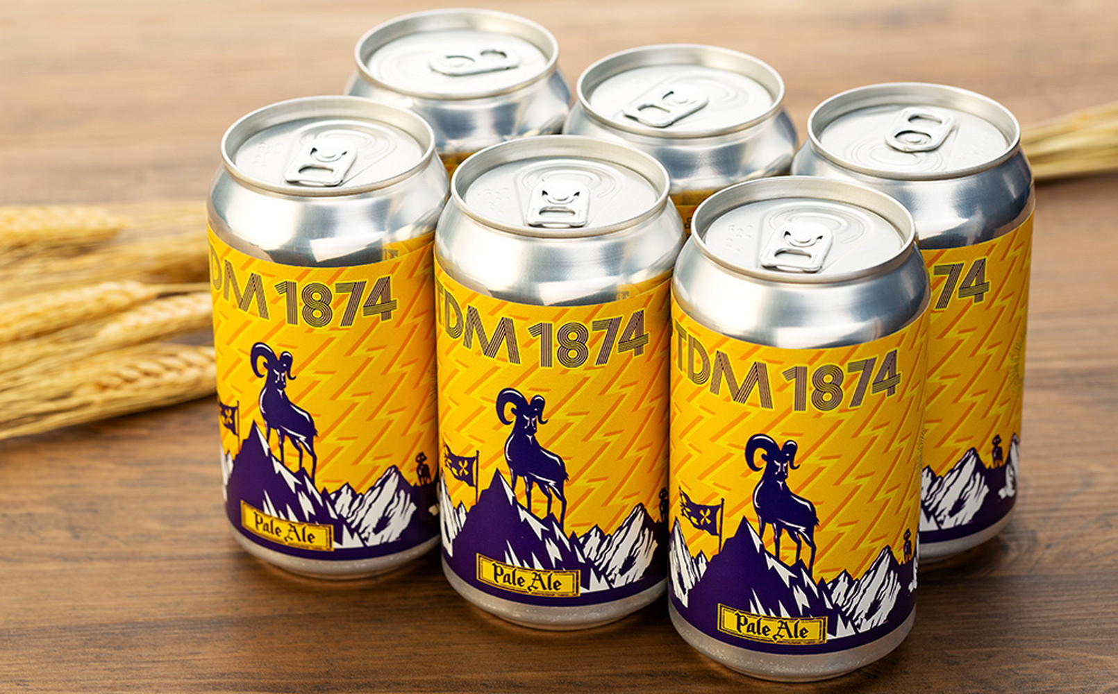TDM 1874 Brewery クラフトビール　ペールエール（350ml×12本）【お酒・地ビール・酒】【ABG0012-01】
