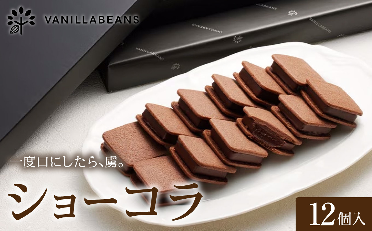VANILLABEANS ショーコラ 12個入｜TV紹介 濃厚生チョコクッキーサンド 人気 おすすめ 送料無料｜神奈川県 横浜市