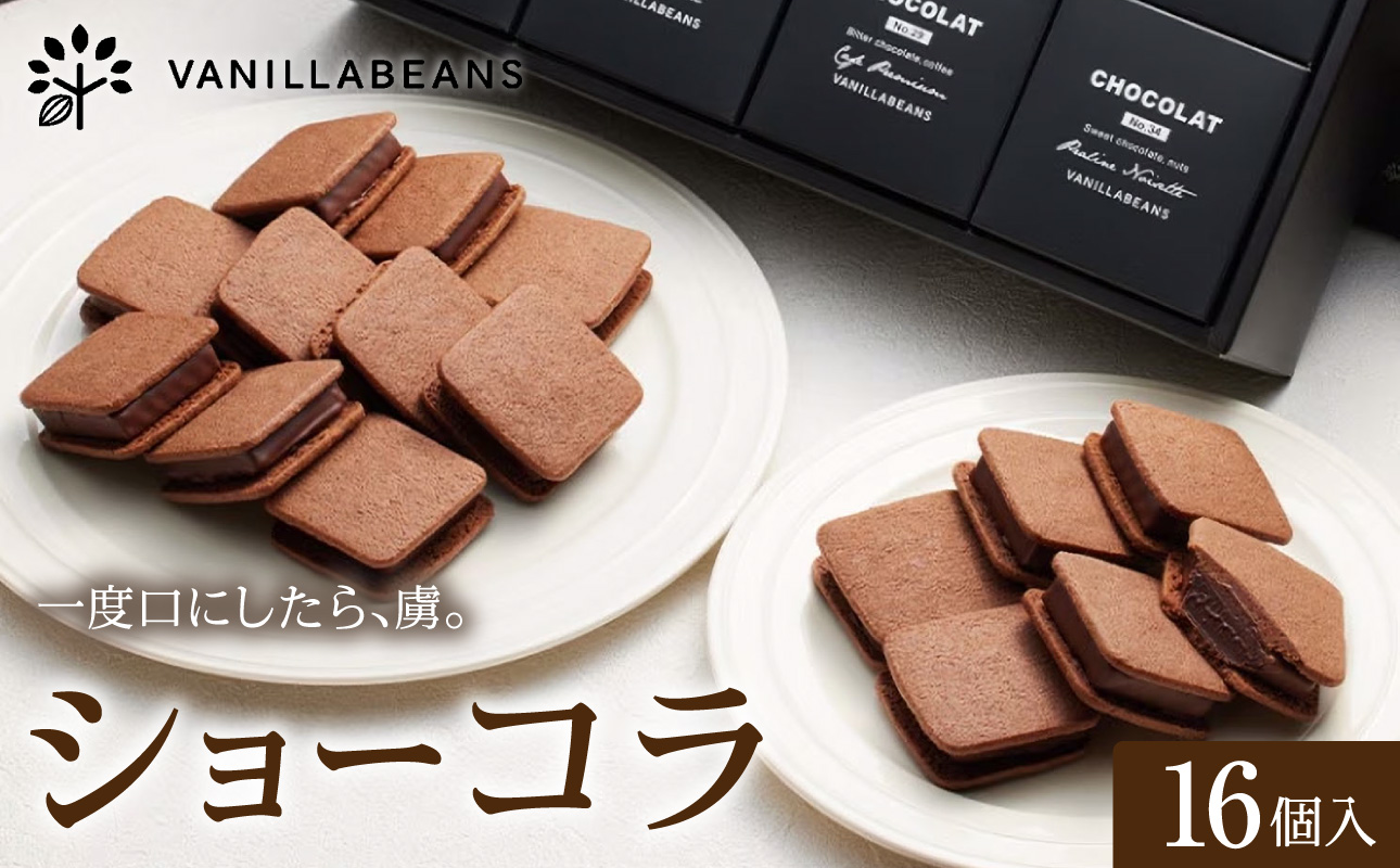 VANILLABEANS ショーコラ 16個入｜TV紹介 濃厚生チョコクッキーサンド 人気 おすすめ 送料無料｜神奈川県 横浜市