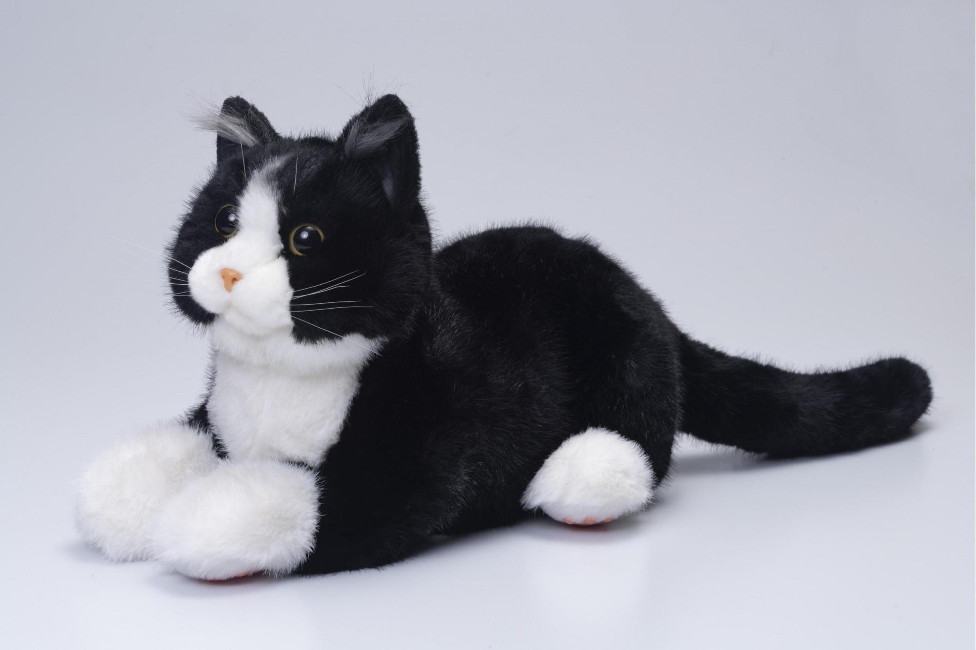 川崎市のロボットメーカーが作る、シニア向けペットの代理ロボット！なでなでねこちゃんEXシリーズ（ハチワレ）