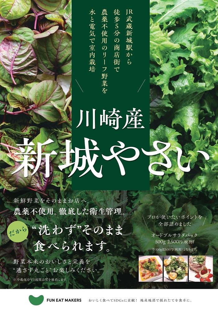 ミシュランシェフ御用達 鮮度2週間 無農薬6種リーフ300g