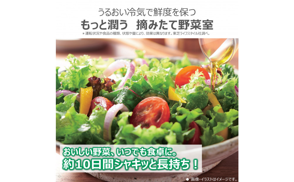 東芝　冷蔵庫【標準設置費込み】　508L　6ドア　両開き　冷凍冷蔵庫　GR-Y510FZ(UC)