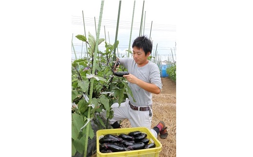 蟾晏エ主クょクょ逕」譁ー魄ョ驥手除繝サ霎イ逕」迚ゥ隧ー繧∝粋繧上○