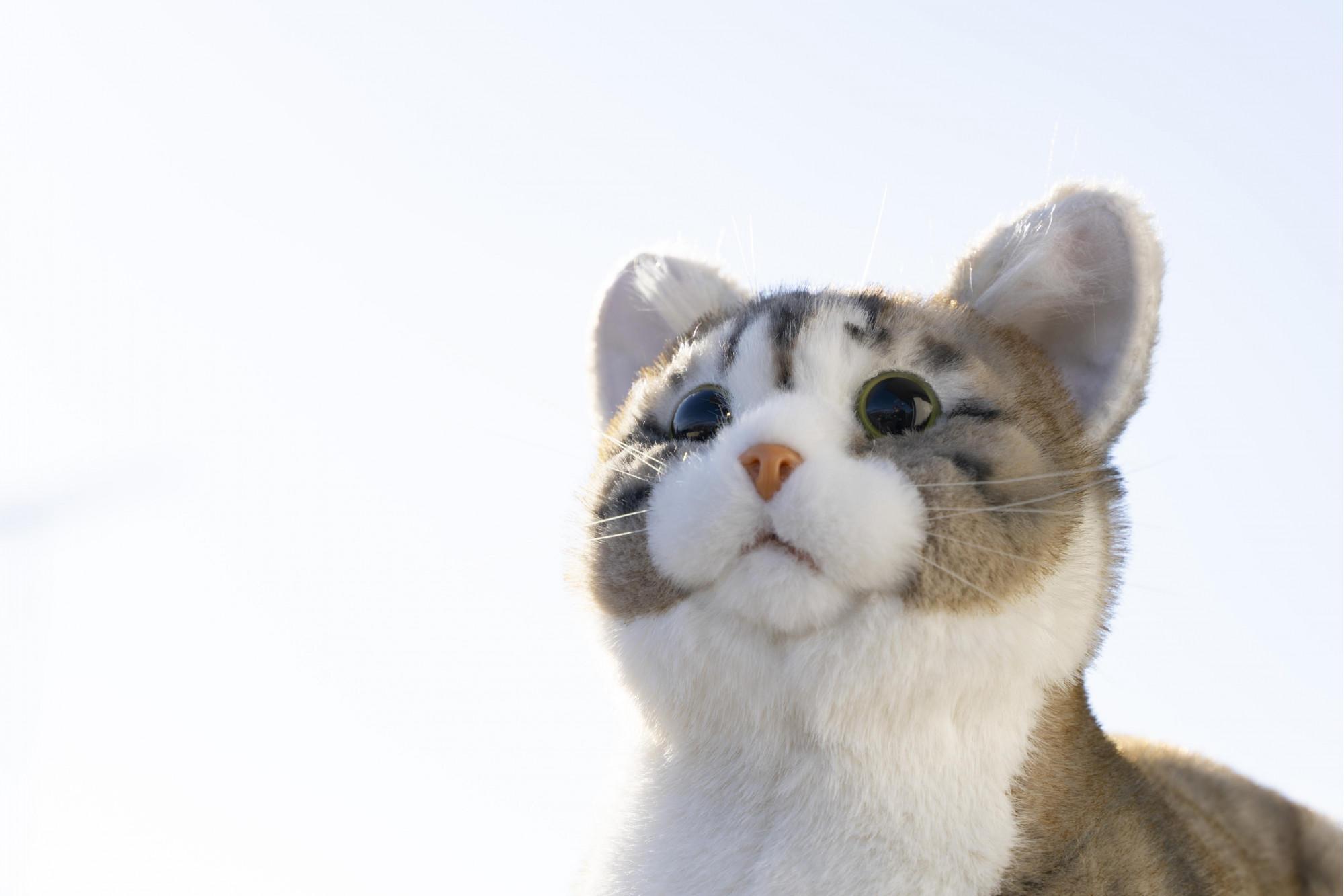 å·åŽåžã®ããããã¡ãŒã«ãŒãäœããã·ãã¢åããããã®ä»£çããããïŒãªã§ãªã§ããã¡ããEXã·ãªãŒãºïŒããžãã©ïŒ