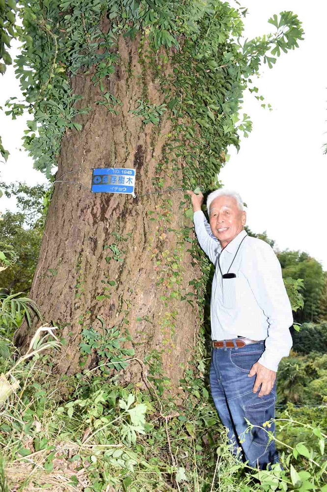 æãã人㞠幞ãã®ãå®ã â
倩å°äººHugããâ
ãç¡äºã®æâ
èŽçåã麻çåºå²¡äžã®ãç¥æšè¬¹åããã£ãïŒã€ã®ããªãã ãã®æã®ãããªãå®ã