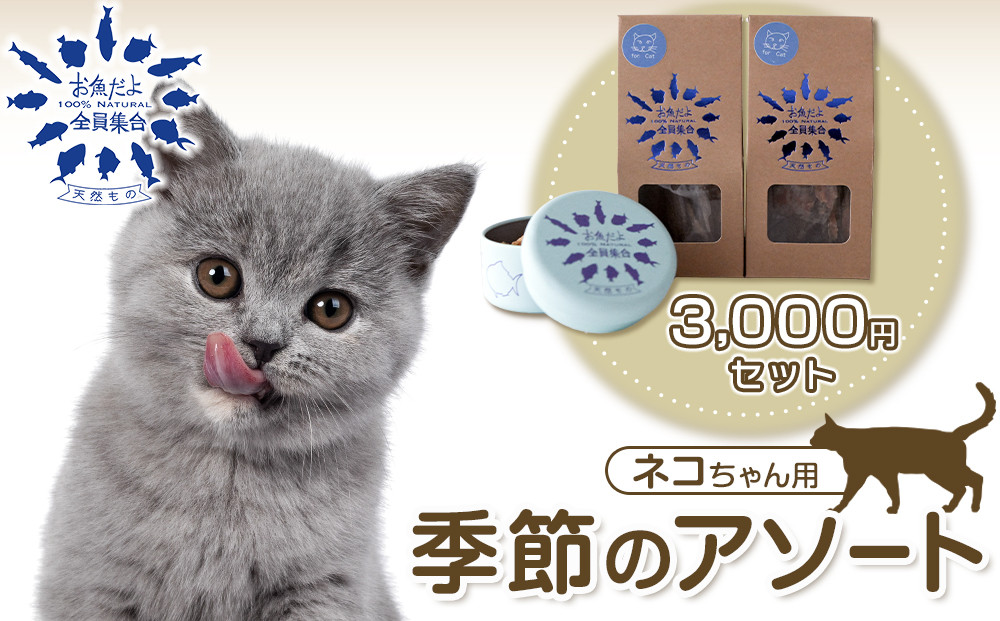 お魚だよ全員集合　季節のアソートセット 3,000円セット　ネコちゃん用｜ペット おやつ 猫 ペットフード