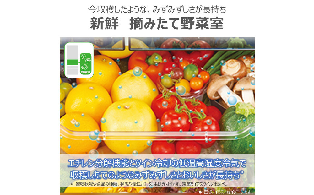 東芝 冷蔵庫 【標準設置費込み】 551L 6ドア 両開き 冷凍冷蔵庫 GR-Y550FK(EW)