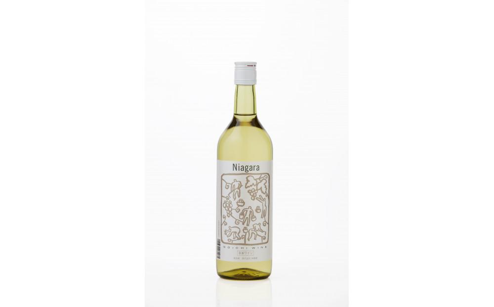 林農園 五一わいん 酸化防止剤無添加 ナイヤガラ 白 やや甘口 720ml 2本 発売元 株式会社片山