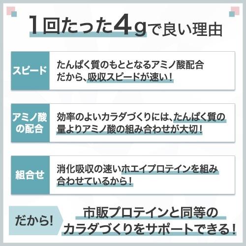 味の素 アミノバイタル アミノプロテイン 30本 粉末 スティック アミノ酸 ホエイ カシス味 スピード吸収 運動 スポーツ コンディショニング リカバー カラダづくり 筋肉 筋トレ カロリー 持ち運び 便利 おすすめ 神奈川県 川崎市