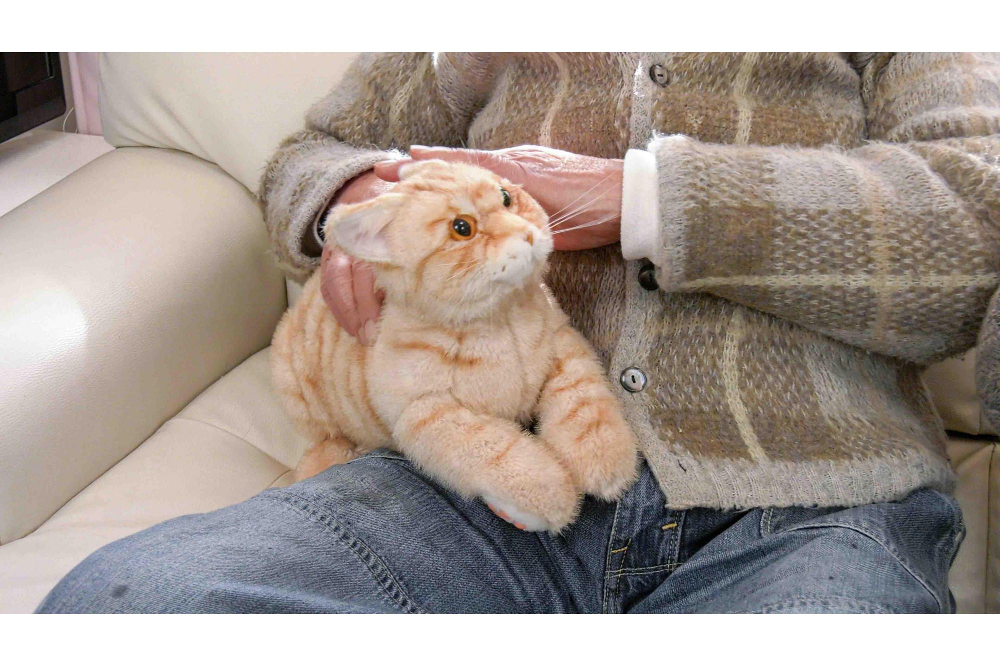 å·åŽåžã®ããããã¡ãŒã«ãŒãäœããã·ãã¢åããããã®ä»£çããããïŒãªã§ãªã§ããã¡ããEXã·ãªãŒãºãïŒãšãïŒ