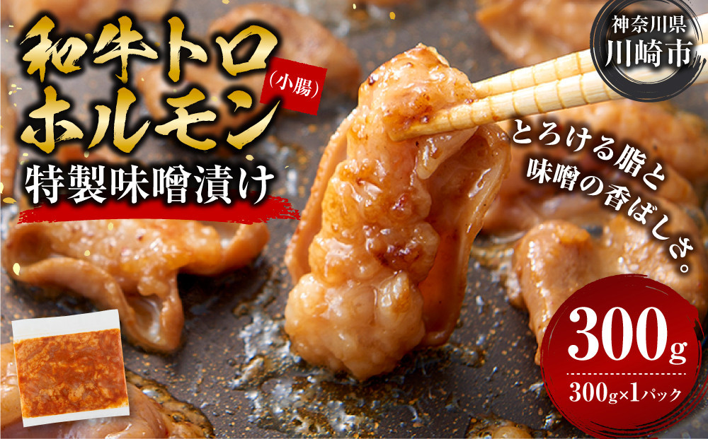 ＜訳アリ＞和牛トロホルモン　特製味噌漬け　0.3kg(300g×1）【2026年4月発送】