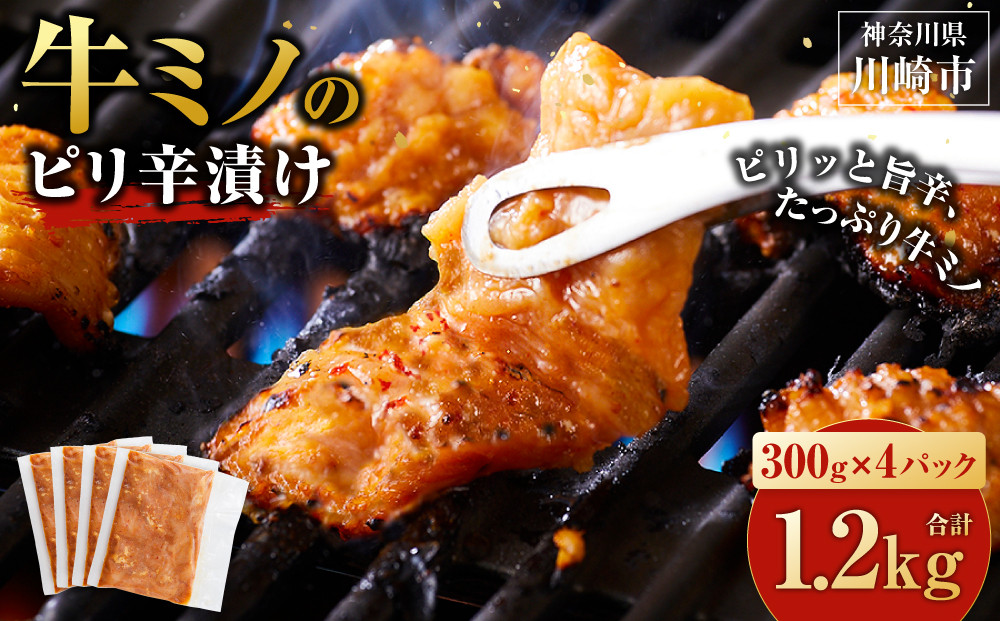 牛ミノ ピリ辛漬け 1.2kg ( 300g × 4パック ) 小分け 個包装 便利 牛肉 ホルモン ミノ 焼肉 焼き肉 お肉 肉 焼くだけ 冷凍 たれ 味付き BBQ アウトドア キャンプ 人気 おすすめ 神奈川 川崎【2026年4月発送】