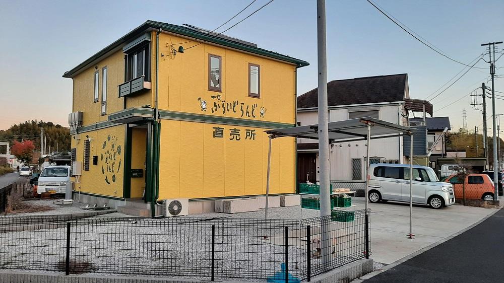 【定期便：6か月】【食べチョクアワード2025 畜産部門 1位の日本一のたまご】単なる平飼いではない究極の卵『わたしたちのぷらいどたまご』3パック（30個）セット