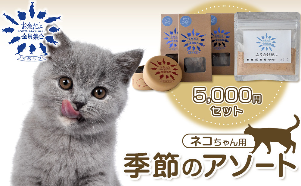 お魚だよ全員集合　季節のアソートセット 5,000円セット　ネコちゃん用｜ペット おやつ 猫 ペットフード