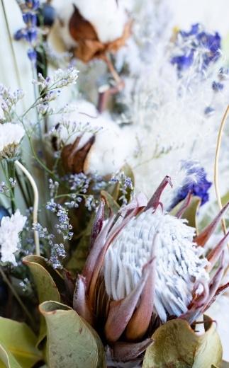 ãè±ç¶ã¢ã¬ã³ãžããã©ã€ãã©ã¯ãŒããŒã± ãã«ãŒ Large