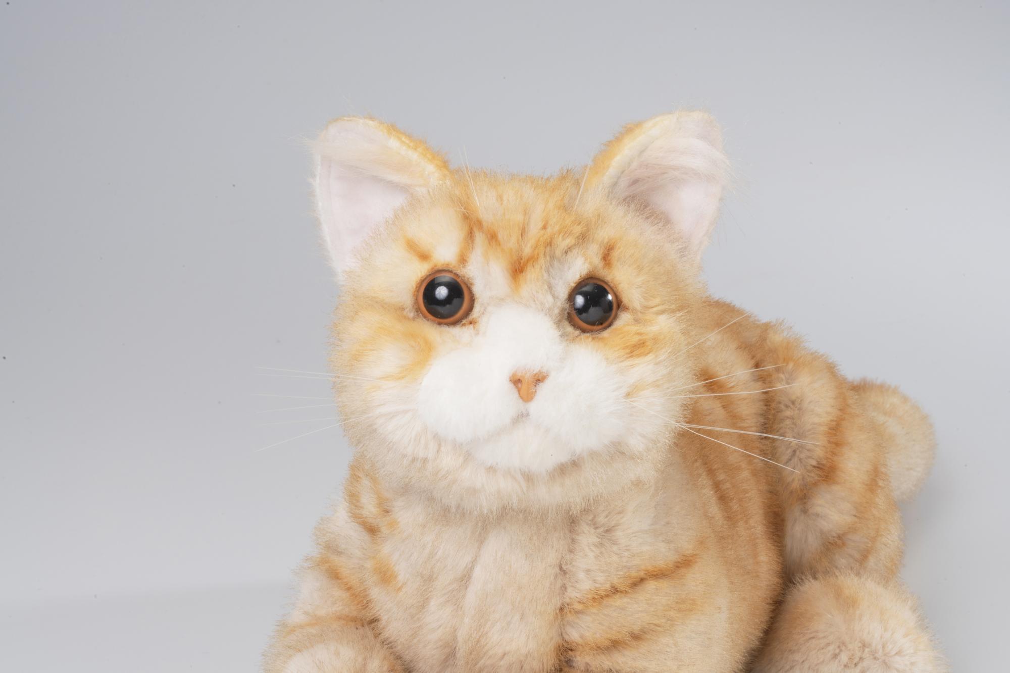 川崎市のロボットメーカーが作る、シニア向けペットの代理ロボット！なでなでねこちゃんEXシリーズ　（とら）