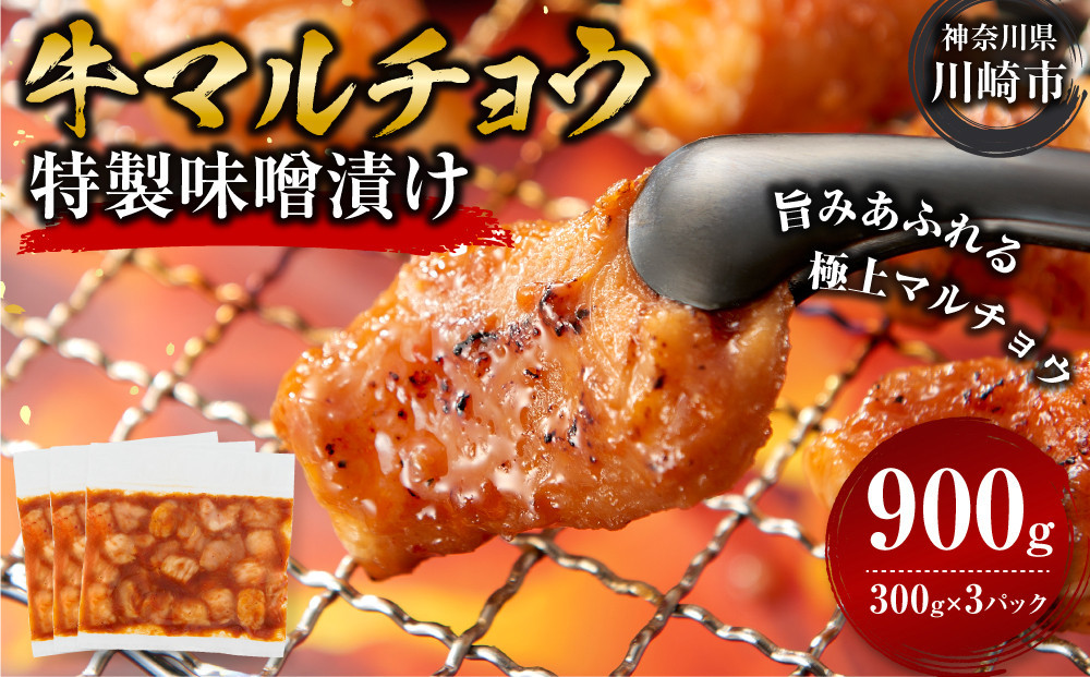 ＜訳アリ＞牛マルチョウ　特製味噌漬け　0.9kg(300g×3）【2026年11月発送】