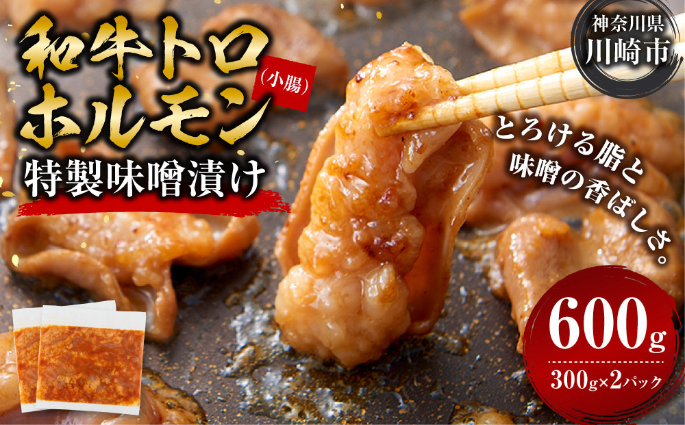 ＜訳アリ＞和牛トロホルモン　特製味噌漬け　0.6kg(300g×2）【2026年8月発送】