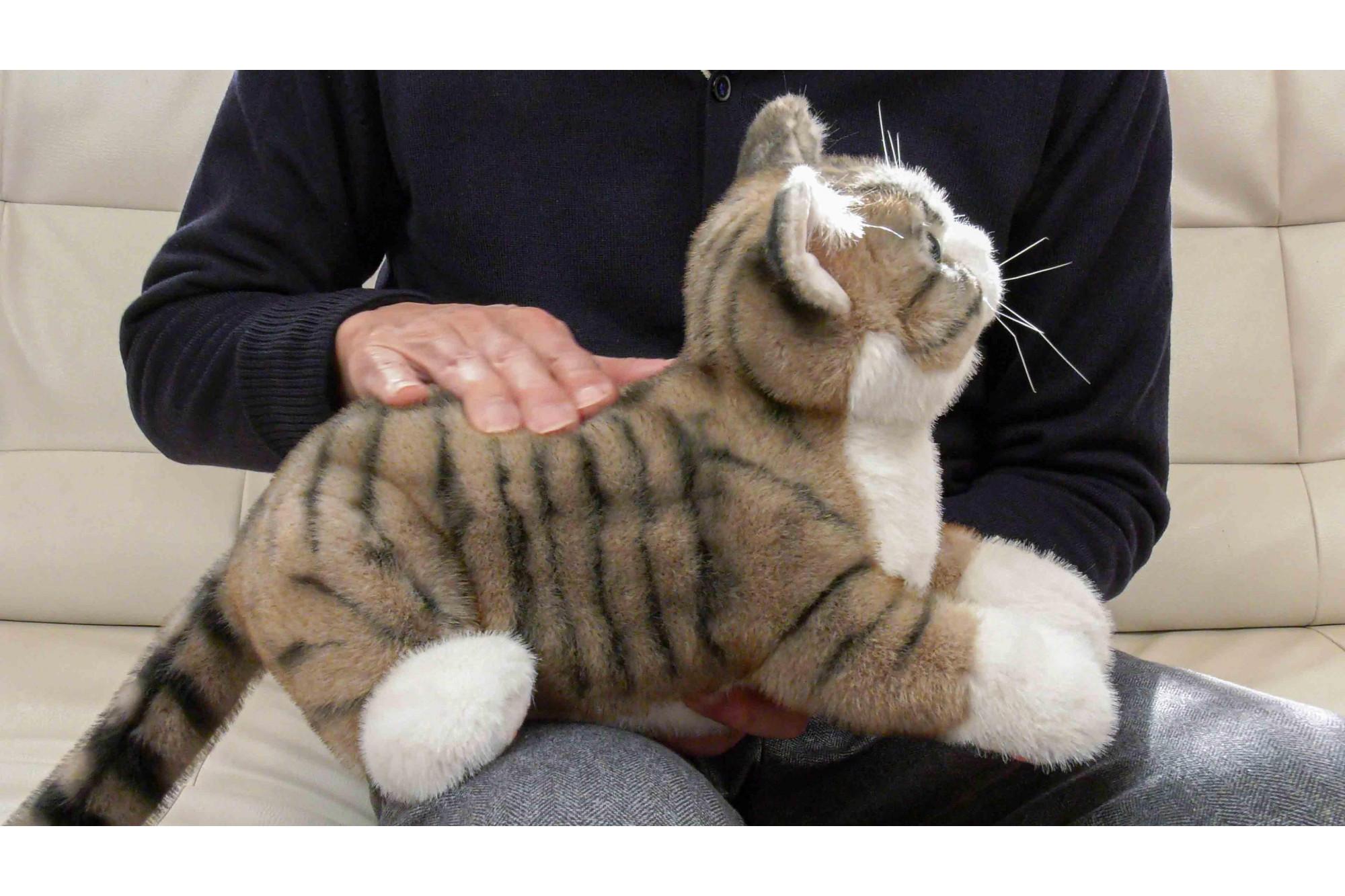 å·åŽåžã®ããããã¡ãŒã«ãŒãäœããã·ãã¢åããããã®ä»£çããããïŒãªã§ãªã§ããã¡ããEXã·ãªãŒãºïŒããžãã©ïŒ