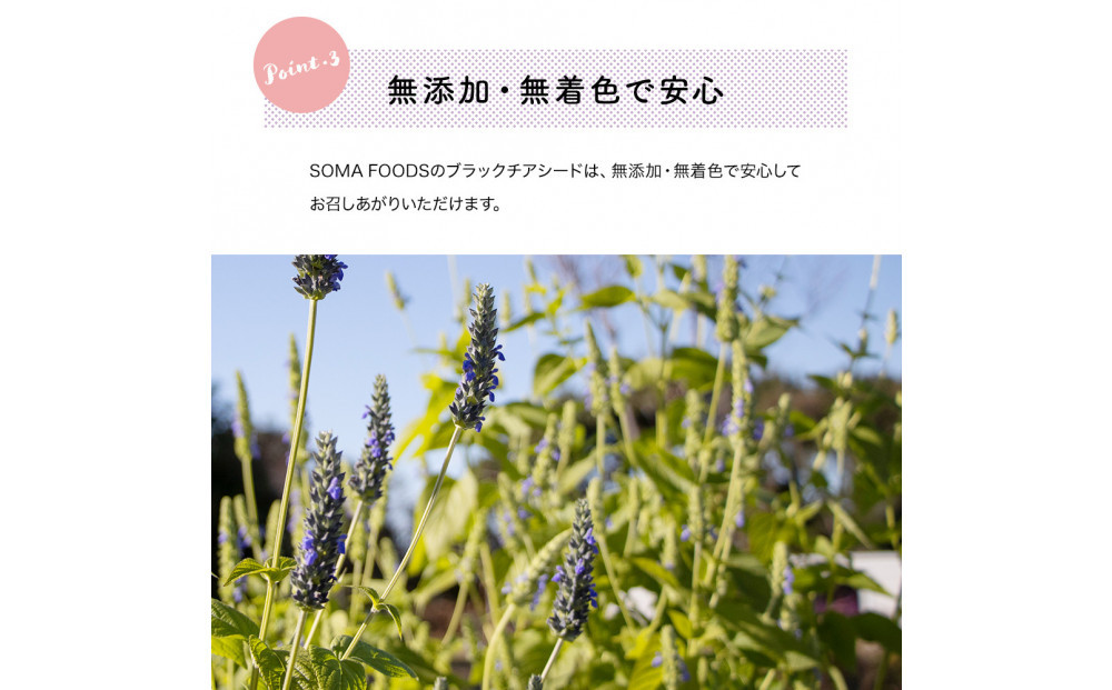 ブラックチアシード900g　2個セット