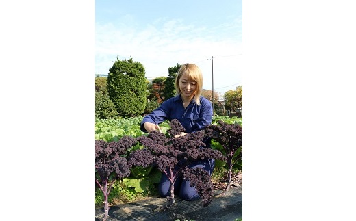 蟾晏エ主クょクょ逕」譁ー魄ョ驥手除繝サ霎イ逕」迚ゥ隧ー繧∝粋繧上○