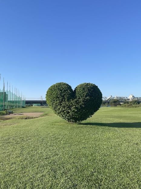 繧エ繝ォ繝3,000蜀蛻蛻ゥ逕ィ蛻ク*2譫
