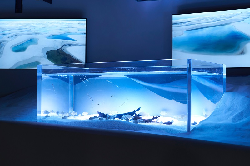 ã«ã¯ã¹ã€ å·åŽæ°Žæé€šãã¢ãã±ããã