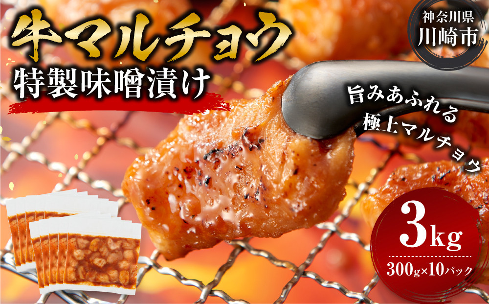 ＜訳アリ＞牛マルチョウ　特製味噌漬け　3kg(300g×10）【2026年3月発送】
