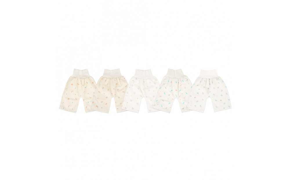 ãããããºãã³ãããããã5æã»ãã è
¹å·»ãã¿ã€ãM