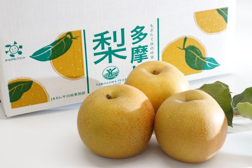 ã2026幎å€é
éã倿©å·æ¢š 5Kg è©°ãåãã ïœ æ¢š ãªã æç© ãã«ãŒã å·åŽåž ãªãªãžãã«