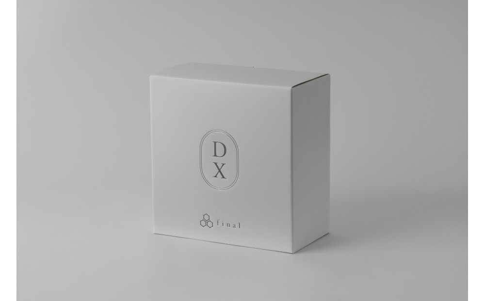 密閉型ヘッドホン final DX3000CL　高音質/開放感/低歪