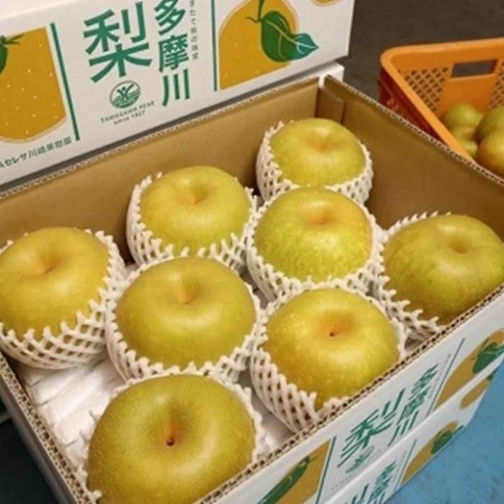 ã2026幎å€é
éã倿©å·æ¢š 5Kg è©°ãåãã ïœ æ¢š ãªã æç© ãã«ãŒã å·åŽåž ãªãªãžãã«