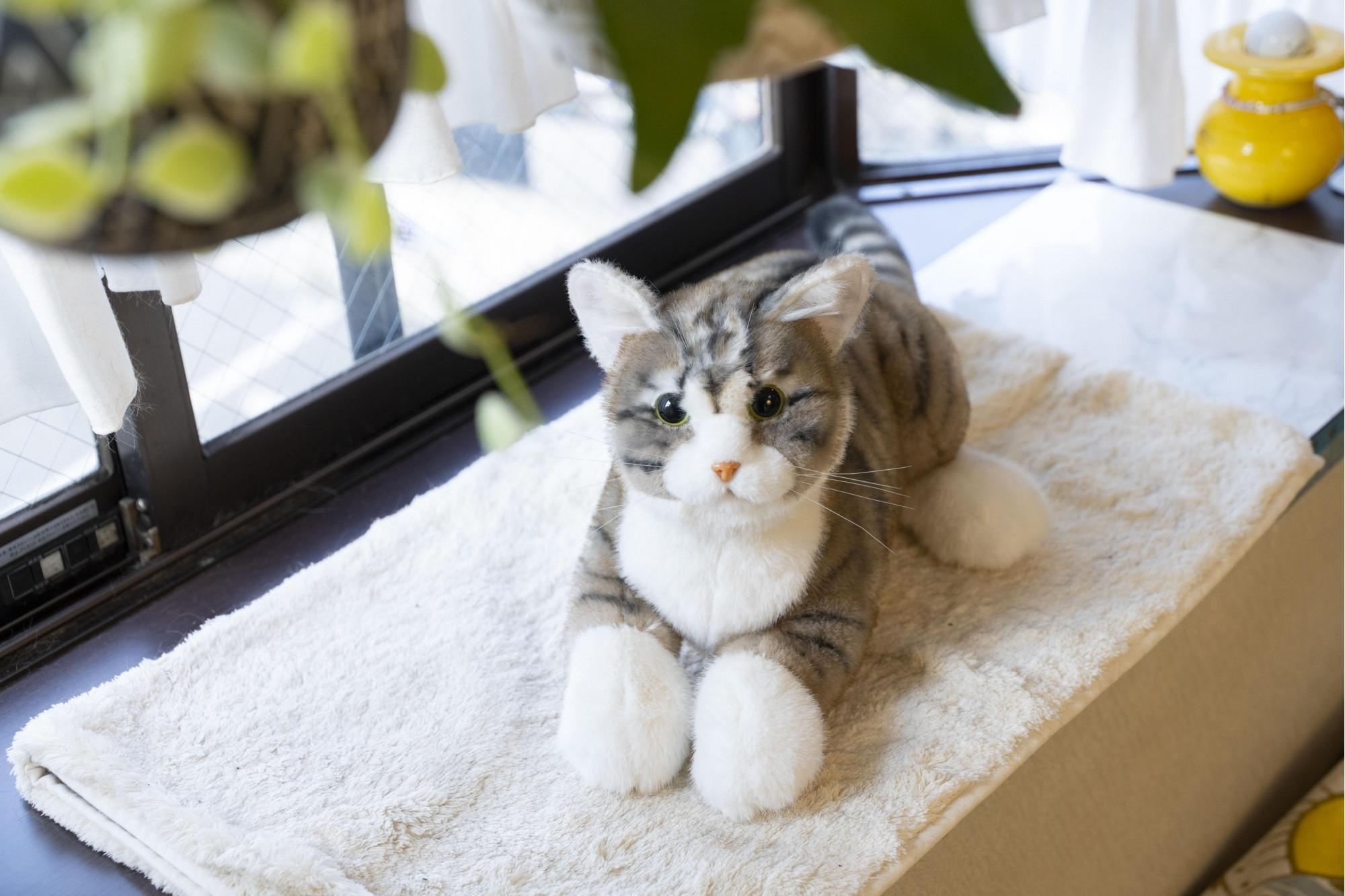 å·åŽåžã®ããããã¡ãŒã«ãŒãäœããã·ãã¢åããããã®ä»£çããããïŒãªã§ãªã§ããã¡ããEXã·ãªãŒãºïŒããžãã©ïŒ