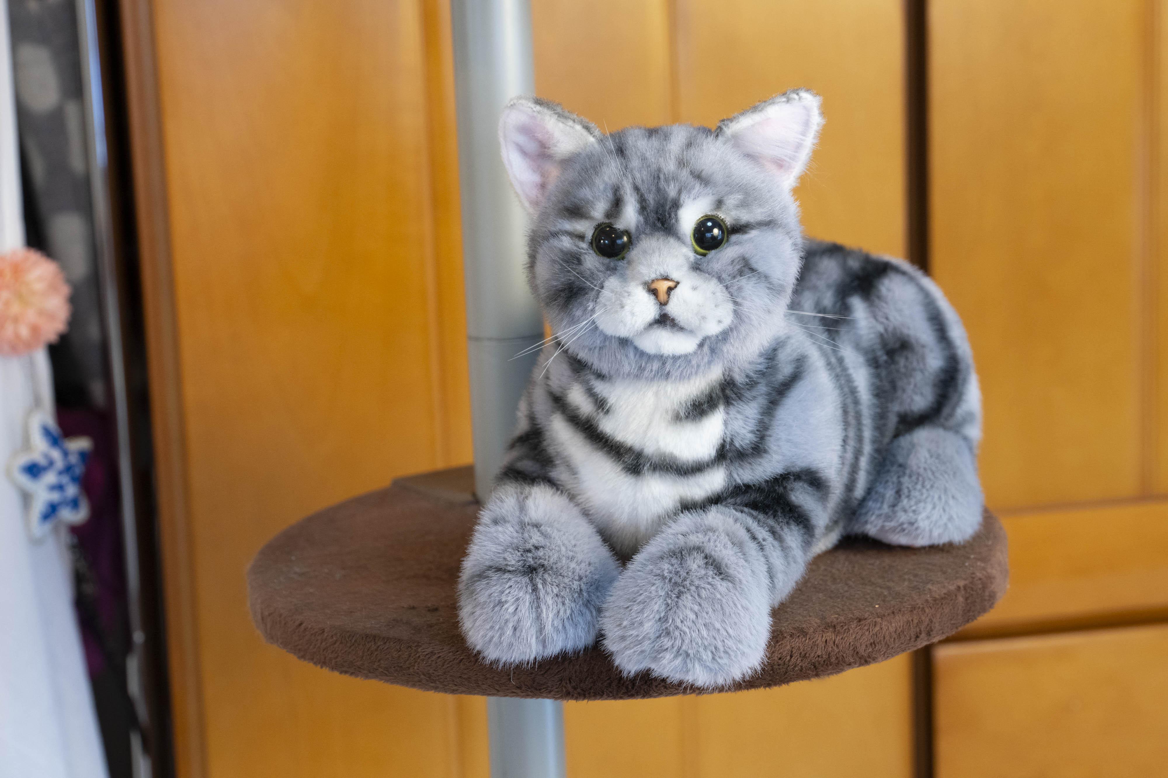 å·åŽåžã®ããããã¡ãŒã«ãŒãäœããã·ãã¢åããããã®ä»£çããããïŒãªã§ãªã§ããã¡ããEXã·ãªãŒãºãïŒã¢ã¡ã·ã§ãŒïŒ