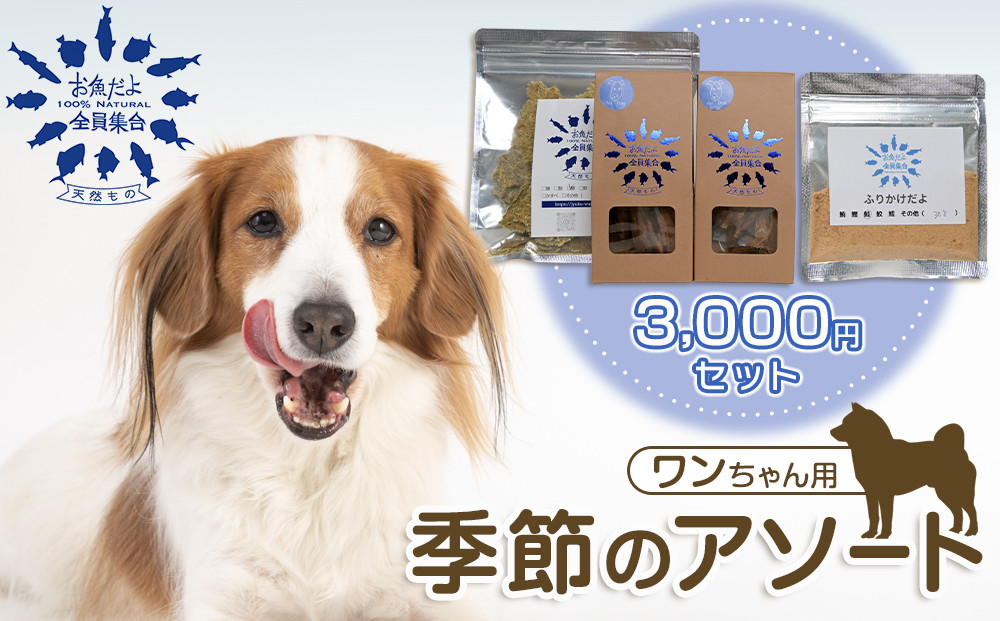 お魚だよ全員集合　季節のアソートセット 3,000円セット　ワンちゃん用｜ペット おやつ 犬 ペットフード