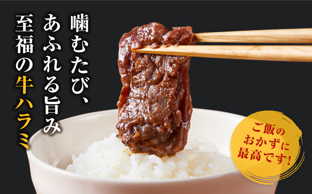 ＜訳あり＞牛ハラミ　特製たれ漬　0.6kg【2026年9月発送】