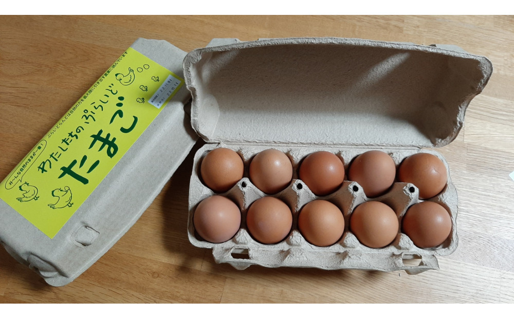 【定期便：6か月】【食べチョクアワード2025 畜産部門 1位の日本一のたまご】単なる平飼いではない究極の卵『わたしたちのぷらいどたまご』6パック（60個）セット