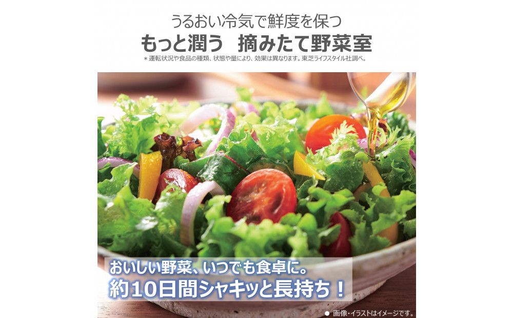 æ±èãå·èµåº«ãæšæºèšçœ®è²»èŸŒã¿ãã452Lã5ãã¢ãå³éããå·åå·èµåº«ãGR-Y450GT(TH)