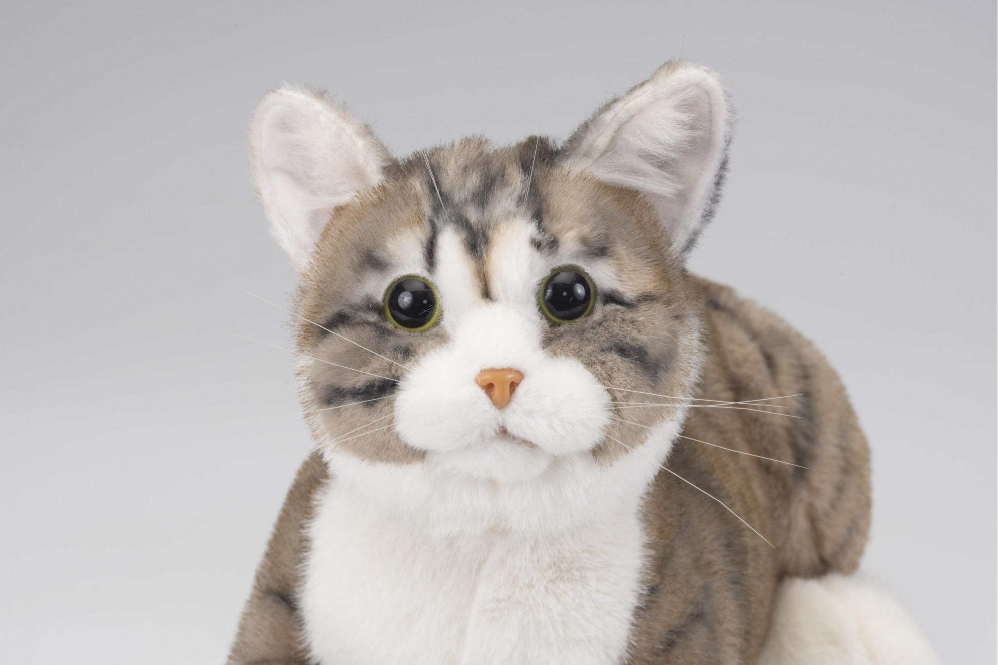 å·åŽåžã®ããããã¡ãŒã«ãŒãäœããã·ãã¢åããããã®ä»£çããããïŒãªã§ãªã§ããã¡ããEXã·ãªãŒãºïŒããžãã©ïŒ