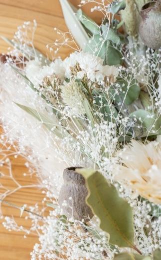 縲舌せ繝ッ繝繧ー縲代ラ繝ゥ繧、繝輔Λ繝ッ繝シ繝悶シ繧ア 繧ー繝ェ繝シ繝ウ